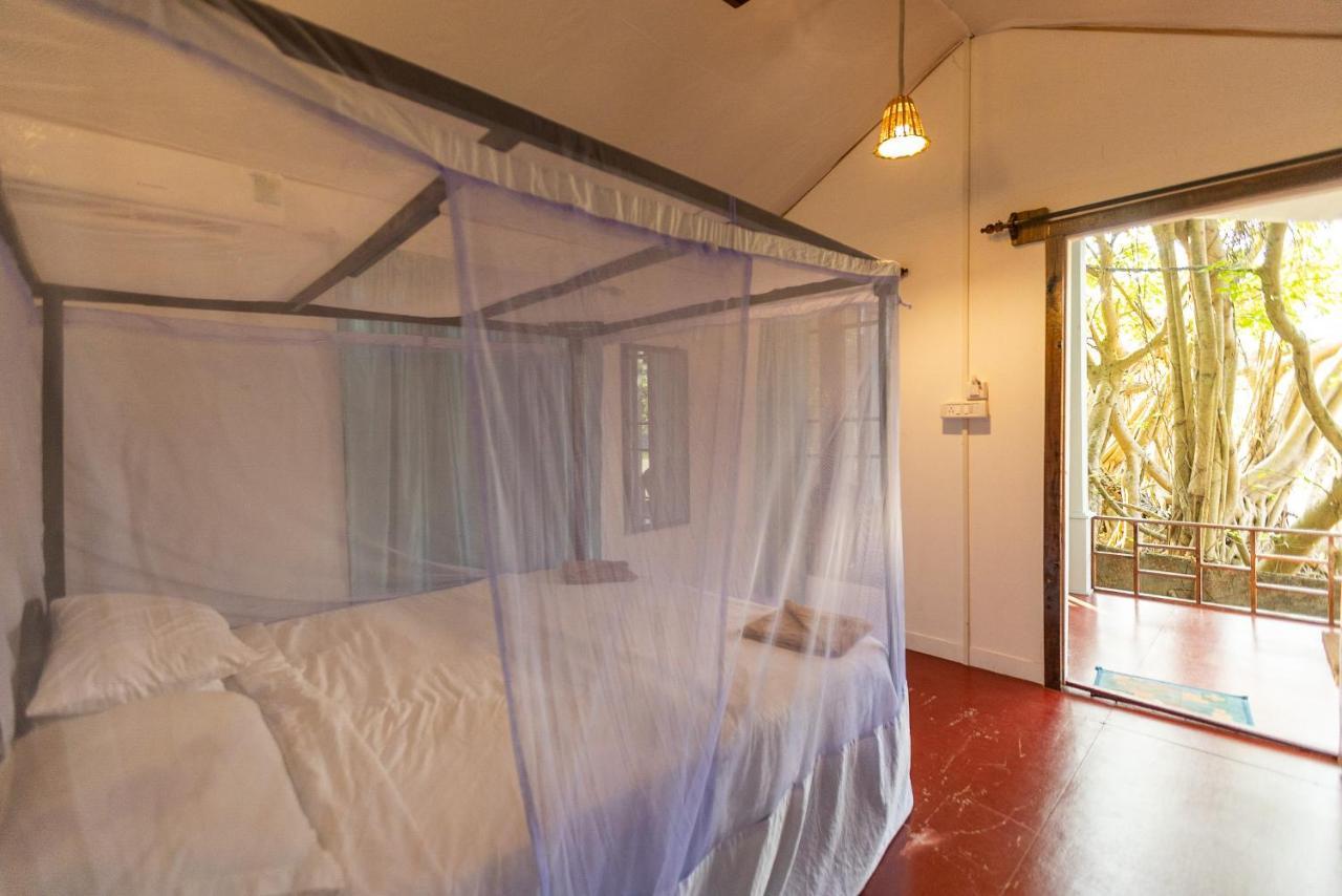 Dreamcatcher Unique Retreat Yoga & Spa Palolem Bagian luar foto